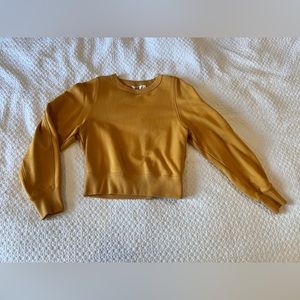 MY FAVORITE SWEATER! Mustard Yellow Uniqlo Cropped
